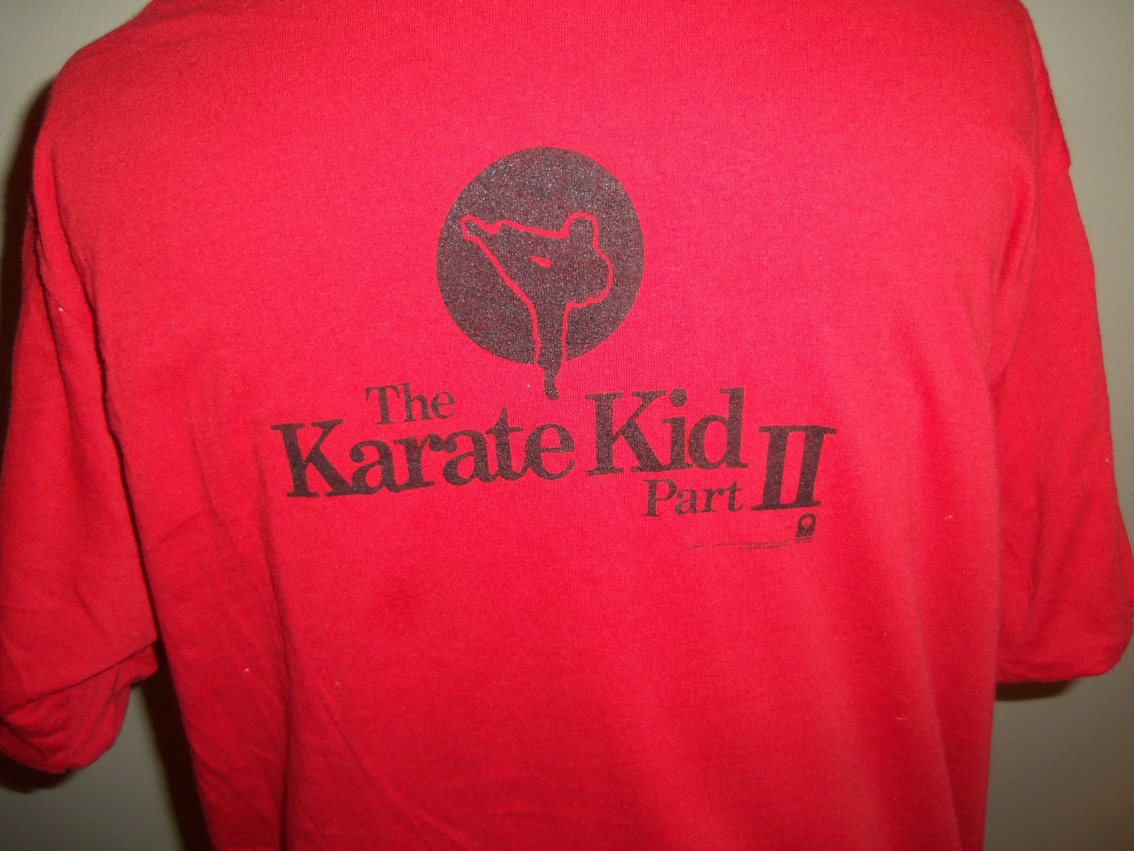 karate kid t