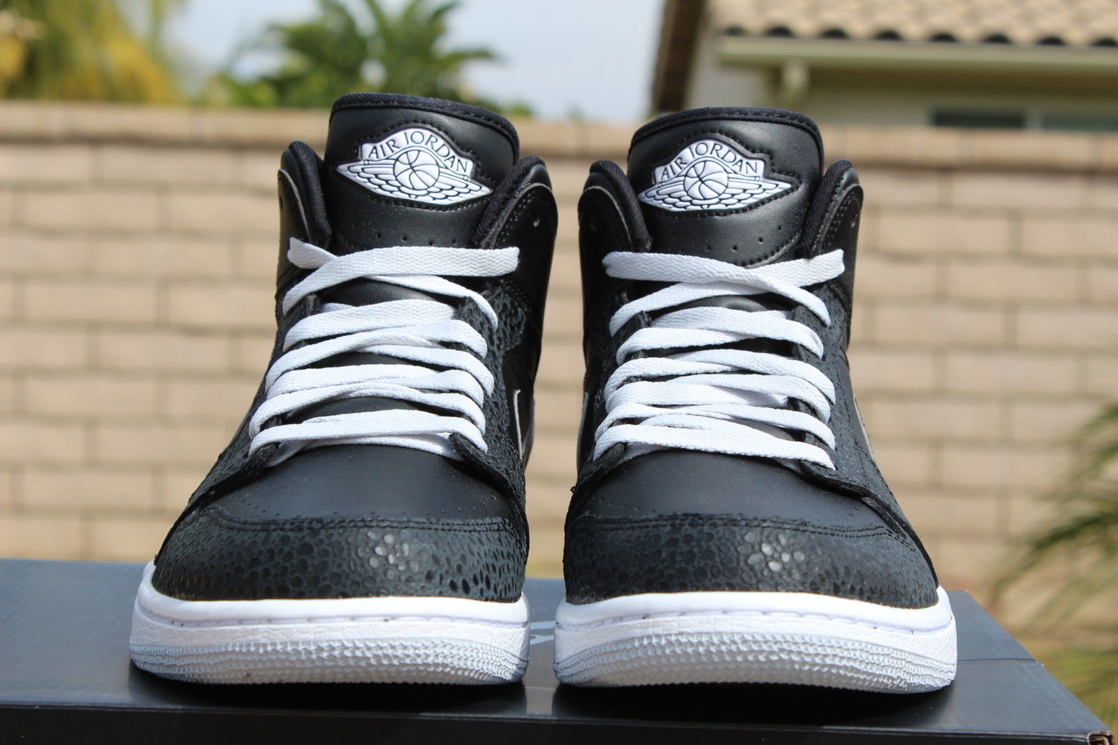 jordan 1 pure platinum