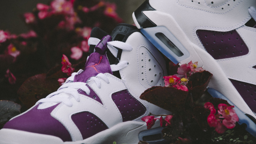 grape jordan 6
