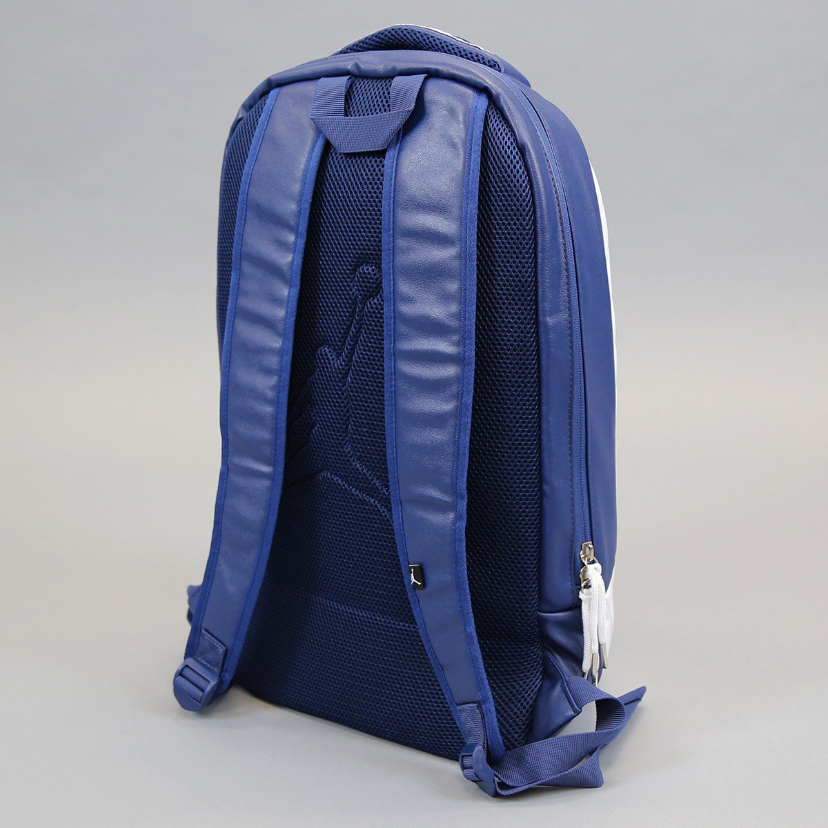 jordan retro 12 backpack french blue
