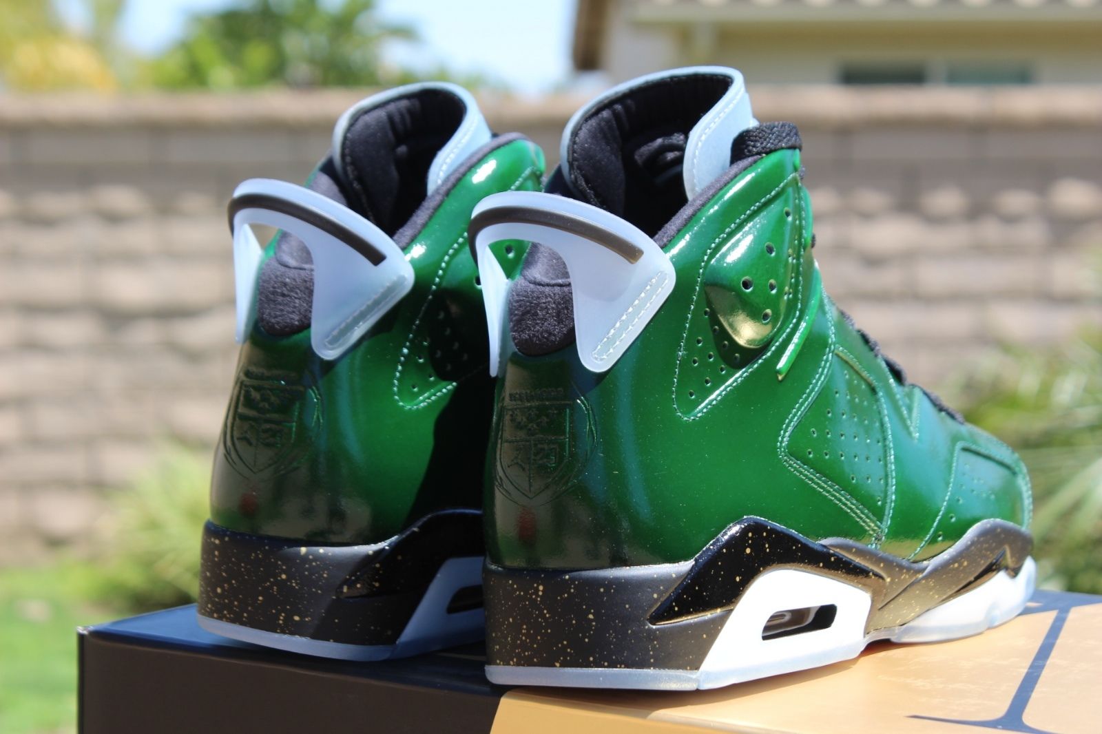 Air Jordan 6: 