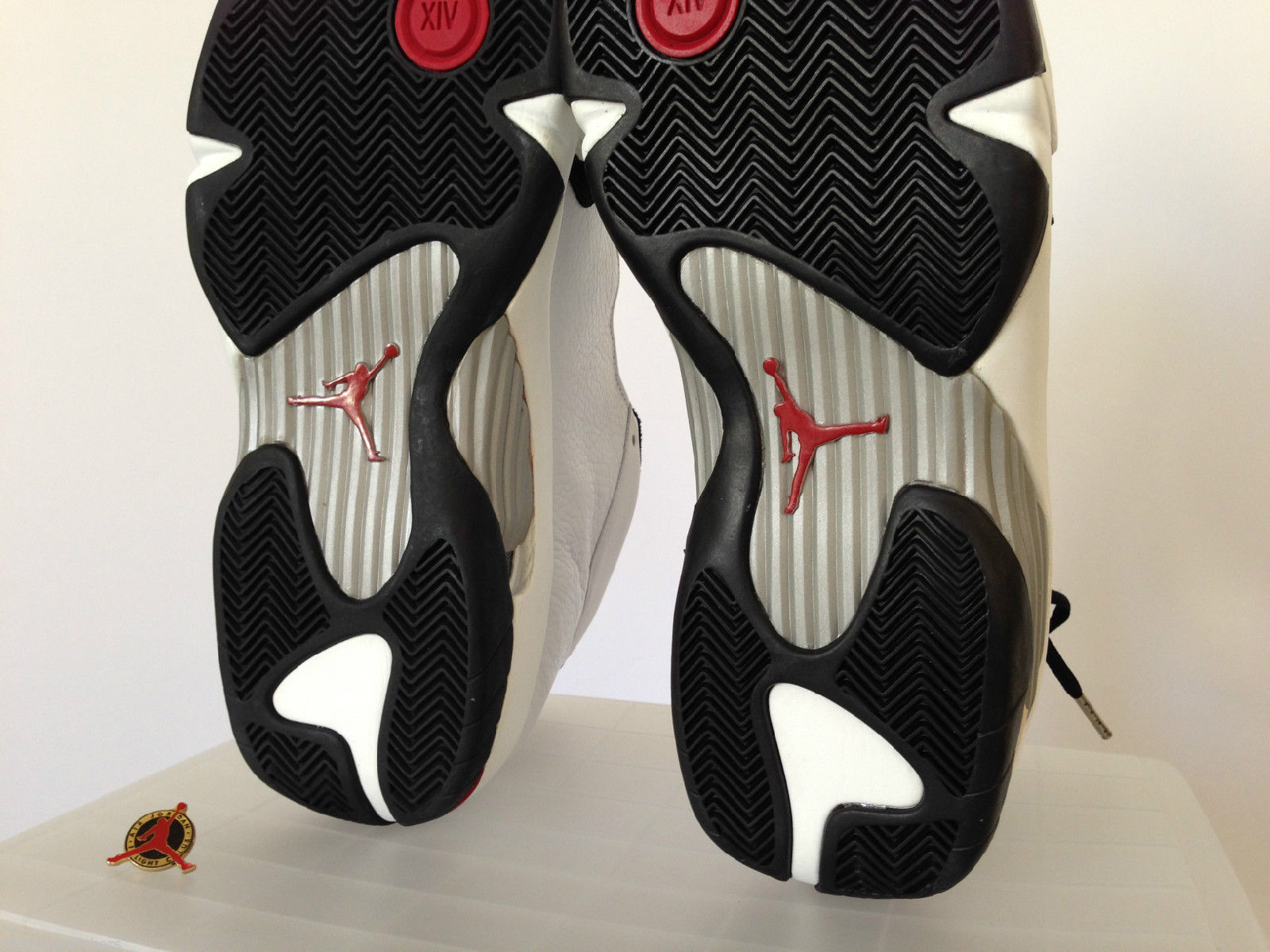Air Jordan 14: 
