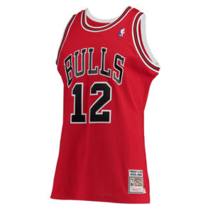 Michael Jordan 1991 All-Star Jersey Restocked With Free Shipping - Air ...